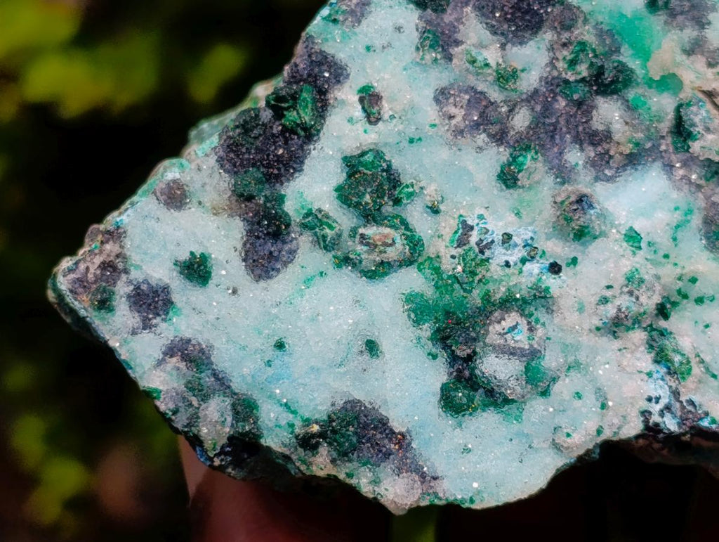 Natural Contrasting Triangular Drusy Coated Chrysocolla with Fibrous and Ball Malachite x 1 From Lupoto Mine, Congo