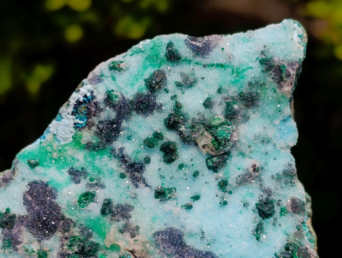 Natural Contrasting Triangular Drusy Coated Chrysocolla with Fibrous and Ball Malachite x 1 From Lupoto Mine, Congo