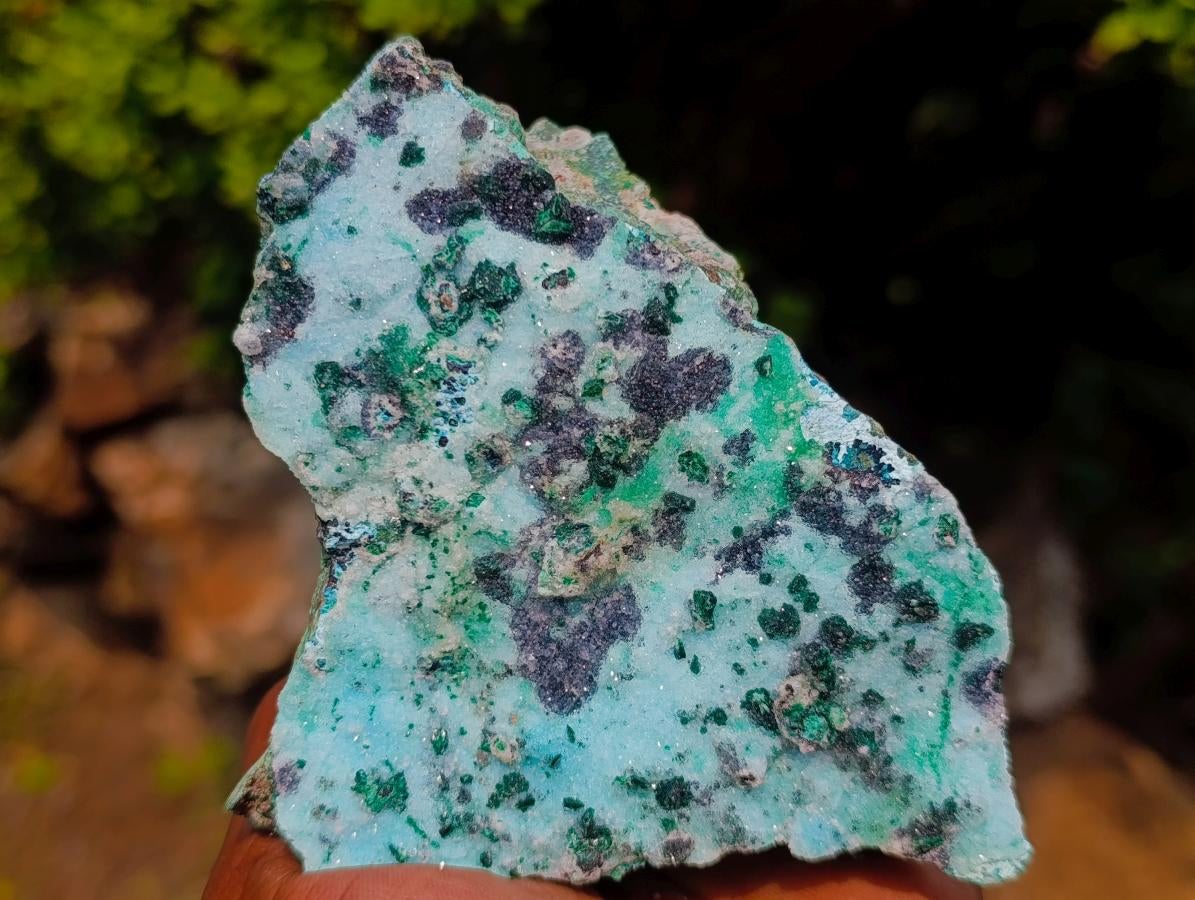 Natural Contrasting Triangular Drusy Coated Chrysocolla with Fibrous and Ball Malachite x 1 From Lupoto Mine, Congo