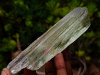 Natural Clear Terminated Triphane Full Crystal Specimen x 1 From Kunar, Afghanistan