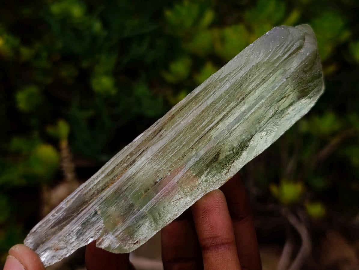 Natural Clear Terminated Triphane Full Crystal Specimen x 1 From Kunar, Afghanistan