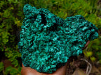 Natural XL Fibrous Silky Malachite Geode Specimen x 1 From Kasompe, Congo