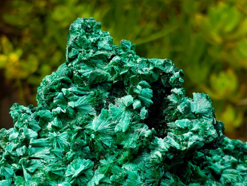 Natural XL Fibrous Silky Malachite Geode Specimen x 1 From Kasompe, Congo