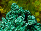 Natural XL Fibrous Silky Malachite Geode Specimen x 1 From Kasompe, Congo