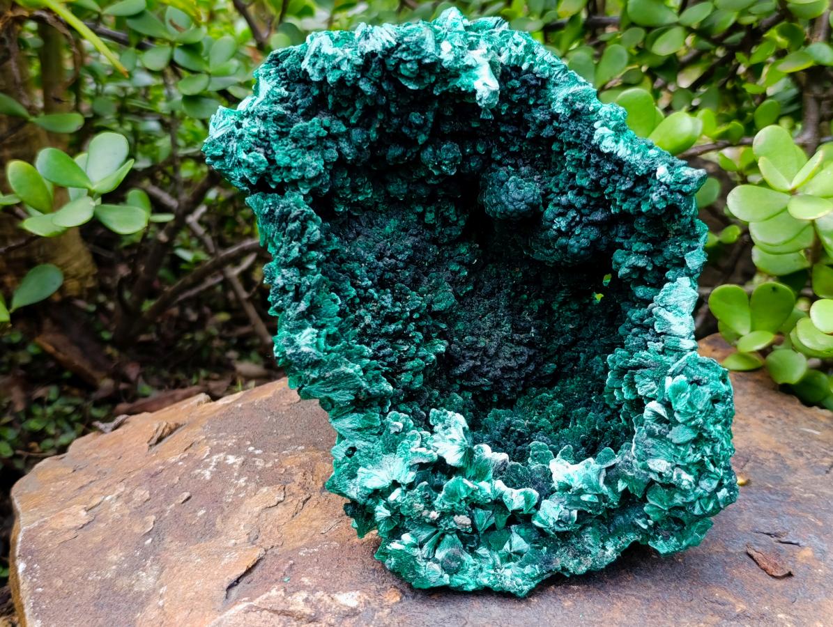 Natural XL Fibrous Silky Malachite Geode Specimen x 1 From Kasompe, Congo