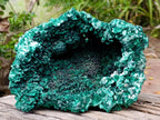 Natural XL Fibrous Silky Malachite Geode Specimen x 1 From Kasompe, Congo