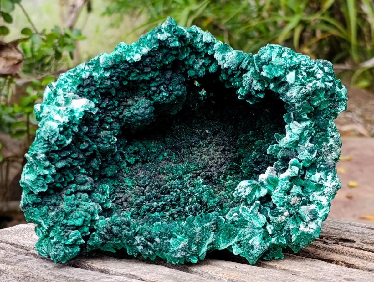 Natural XL Fibrous Silky Malachite Geode Specimen x 1 From Kasompe, Congo