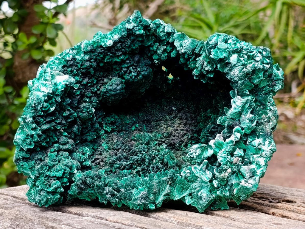 Natural XL Fibrous Silky Malachite Geode Specimen x 1 From Kasompe, Congo
