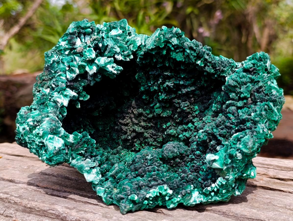 Natural XL Fibrous Silky Malachite Geode Specimen x 1 From Kasompe, Congo