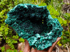 Natural XL Fibrous Silky Malachite Geode Specimen x 1 From Kasompe, Congo