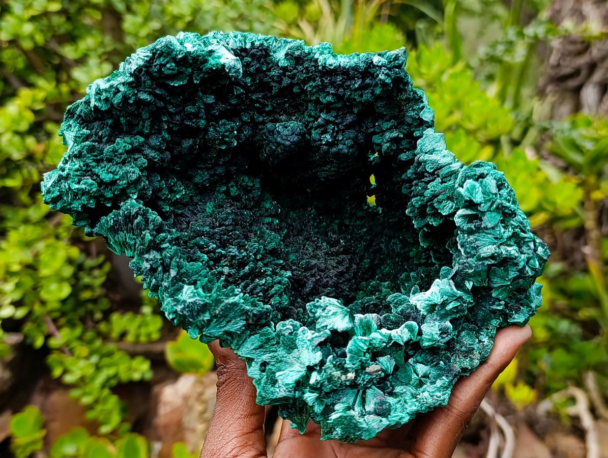 Natural XL Fibrous Silky Malachite Geode Specimen x 1 From Kasompe, Congo