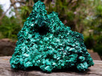 Natural XL Fibrous Silky Malachite Geode Specimen x 1 From Kasompe, Congo
