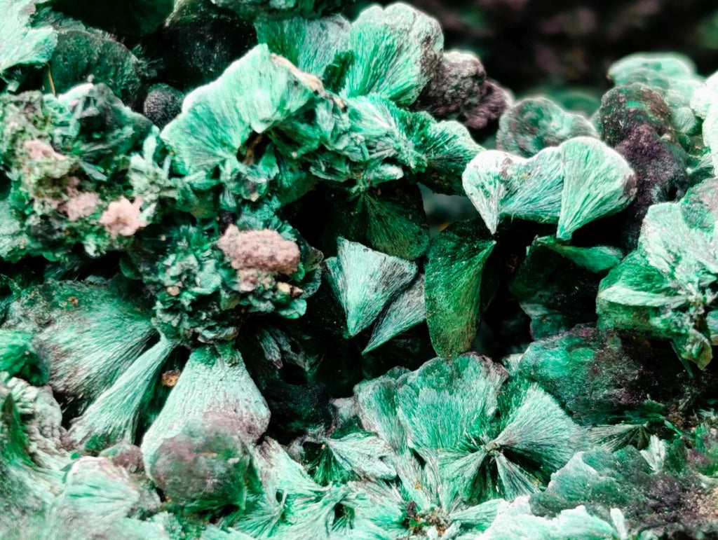 Natural XL Fibrous Silky Malachite Geode Specimen x 1 From Kasompe, Congo