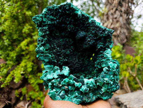 Natural XL Fibrous Silky Malachite Geode Specimen x 1 From Kasompe, Congo