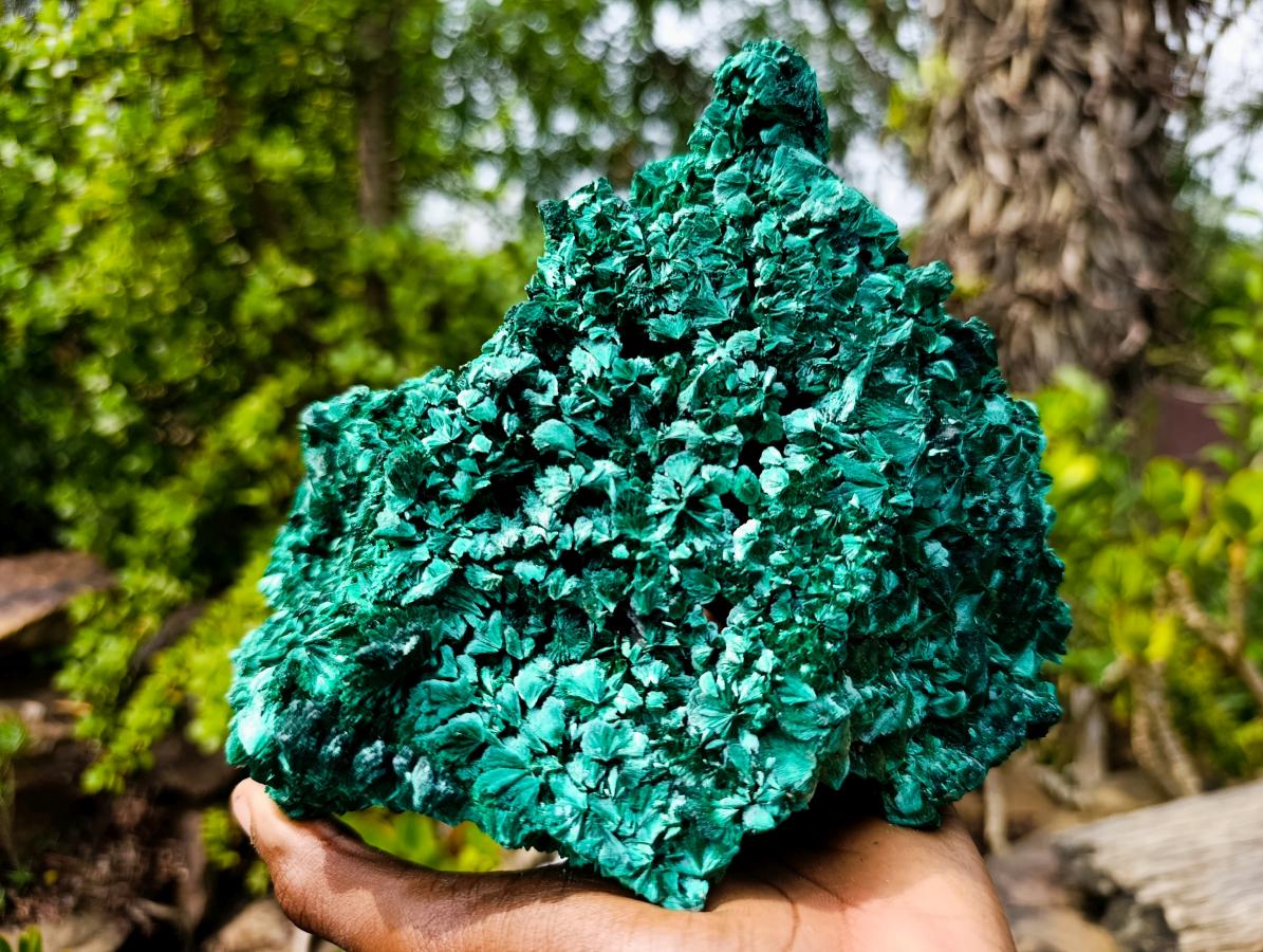 Natural XL Fibrous Silky Malachite Geode Specimen x 1 From Kasompe, Congo