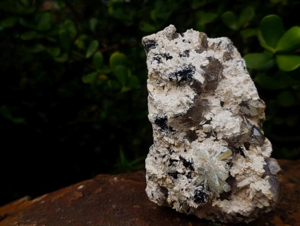 Natural Goshenite Splayed Crystal Cluster with Feldspar Schorl and Smokey Quartz  x 1 From Erongo, Namibia