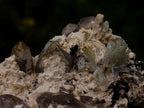 Natural Goshenite Splayed Crystal Cluster with Feldspar Schorl and Smokey Quartz  x 1 From Erongo, Namibia