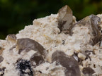 Natural Goshenite Splayed Crystal Cluster with Feldspar Schorl and Smokey Quartz  x 1 From Erongo, Namibia