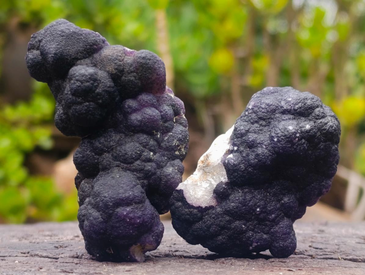Natural Pair of Rare Botryoidal Purple Grape Fluorite Specimens x 1 From Erongo, Namibia