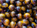 Hand Made Golden Tiger Eye 10 mm Bead Necklace - Sold Per Piece -  From  Prieska, South Africa