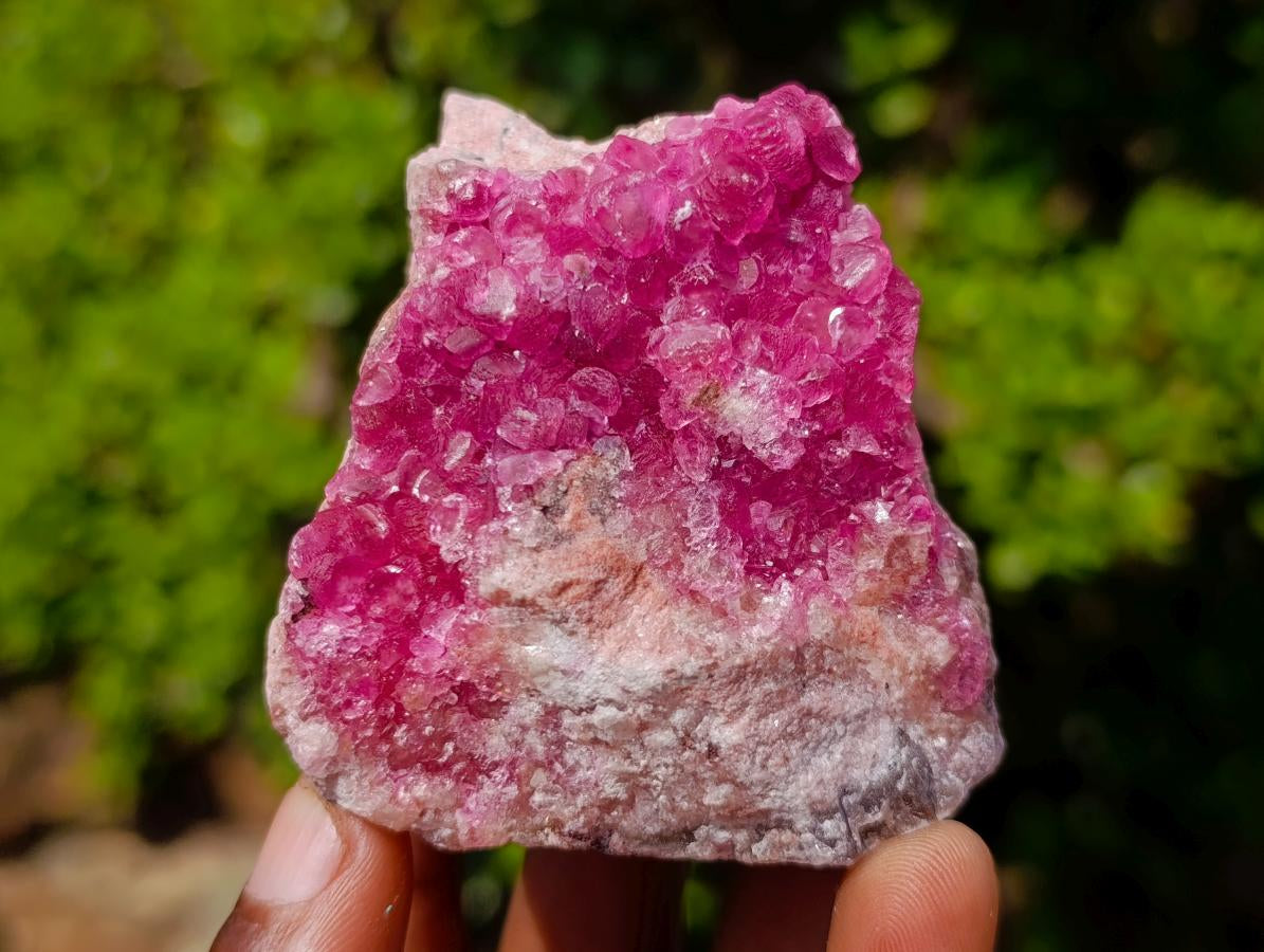 Natural Hot Pink and Frosty Spherocobaltite Specimen x 1 From Mashamba West Mine, Congo