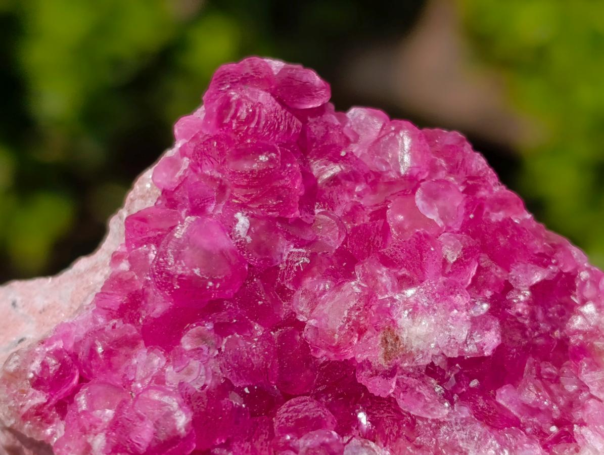 Natural Hot Pink and Frosty Spherocobaltite Specimen x 1 From Mashamba West Mine, Congo