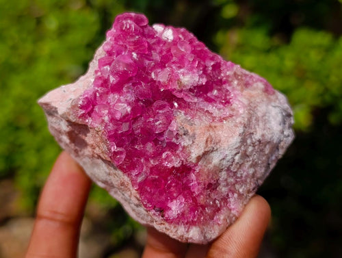 Natural Hot Pink and Frosty Spherocobaltite Specimen x 1 From Mashamba West Mine, Congo