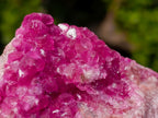Natural Hot Pink and Frosty Spherocobaltite Specimen x 1 From Mashamba West Mine, Congo