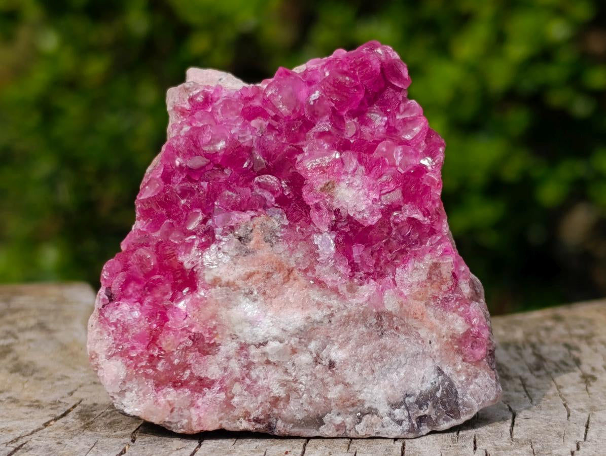 Natural Hot Pink and Frosty Spherocobaltite Specimen x 1 From Mashamba West Mine, Congo