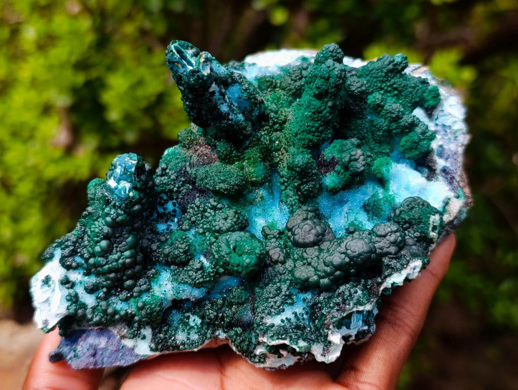 Natural Unique Drusy Coated Chrysocolla with Malachite Stalactites x 1 from  Lupoto Mine, Congo