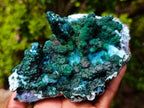 Natural Unique Drusy Coated Chrysocolla with Malachite Stalactites x 1 from  Lupoto Mine, Congo