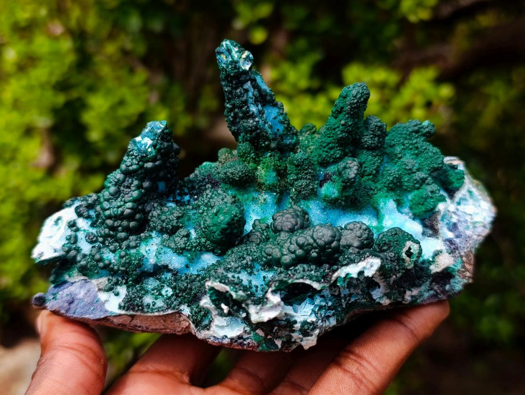 Natural Unique Drusy Coated Chrysocolla with Malachite Stalactites x 1 from  Lupoto Mine, Congo