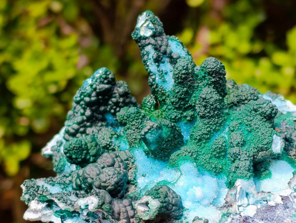 Natural Unique Drusy Coated Chrysocolla with Malachite Stalactites x 1 from  Lupoto Mine, Congo