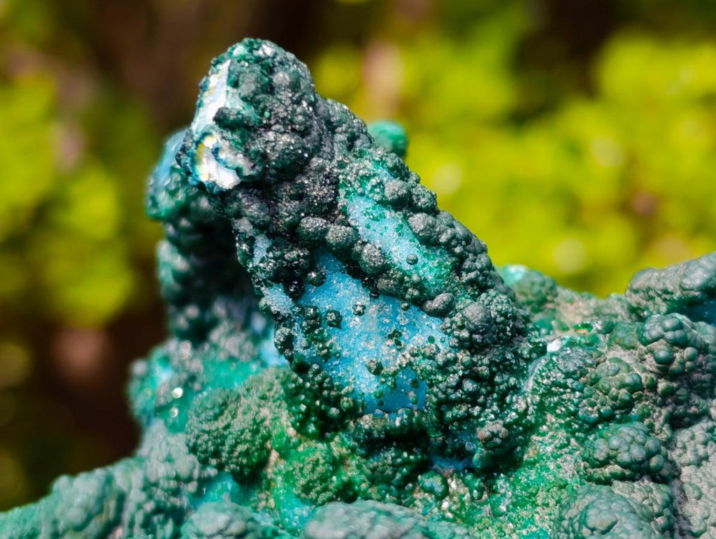 Natural Unique Drusy Coated Chrysocolla with Malachite Stalactites x 1 from  Lupoto Mine, Congo
