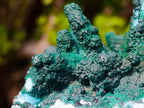 Natural Unique Drusy Coated Chrysocolla with Malachite Stalactites x 1 from  Lupoto Mine, Congo