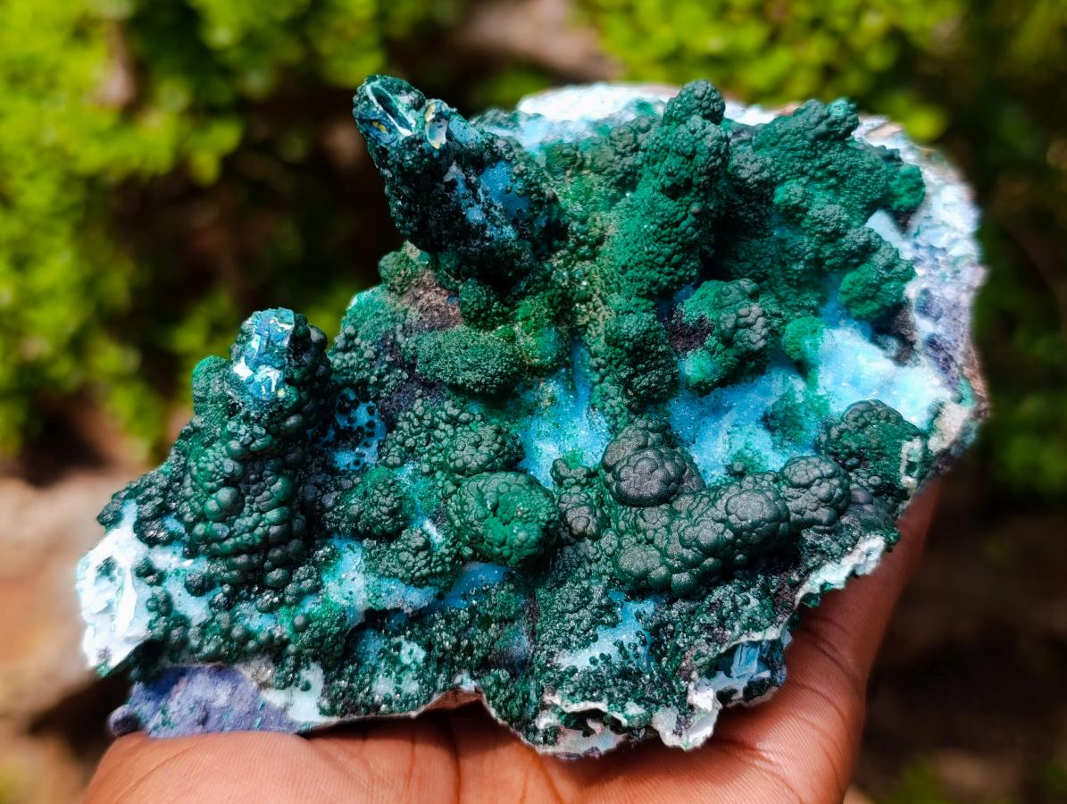Natural Unique Drusy Coated Chrysocolla with Malachite Stalactites x 1 from  Lupoto Mine, Congo
