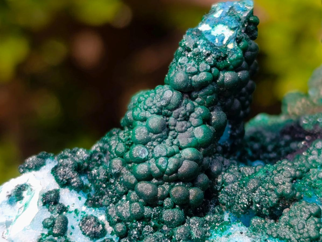 Natural Unique Drusy Coated Chrysocolla with Malachite Stalactites x 1 from  Lupoto Mine, Congo