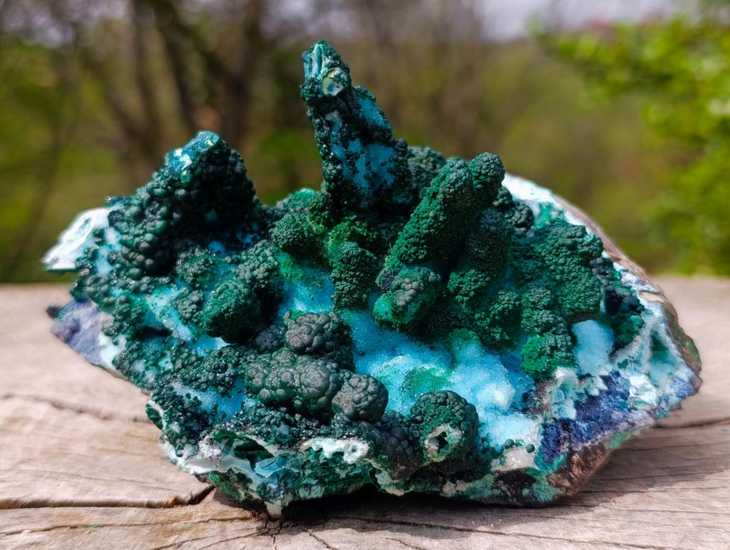 Natural Unique Drusy Coated Chrysocolla with Malachite Stalactites x 1 from  Lupoto Mine, Congo