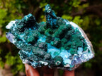 Natural Unique Drusy Coated Chrysocolla with Malachite Stalactites x 1 from  Lupoto Mine, Congo