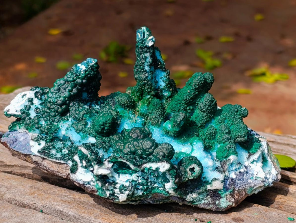 Natural Unique Drusy Coated Chrysocolla with Malachite Stalactites x 1 from  Lupoto Mine, Congo