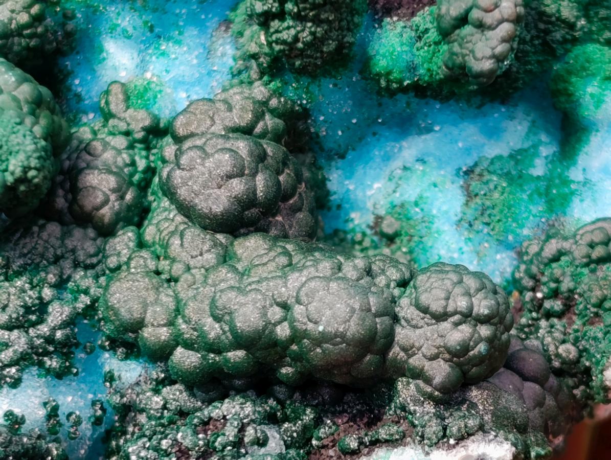 Natural Unique Drusy Coated Chrysocolla with Malachite Stalactites x 1 from  Lupoto Mine, Congo