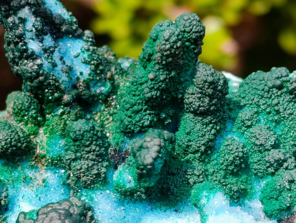 Natural Unique Drusy Coated Chrysocolla with Malachite Stalactites x 1 from  Lupoto Mine, Congo