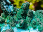 Natural Unique Drusy Coated Chrysocolla with Malachite Stalactites x 1 from  Lupoto Mine, Congo
