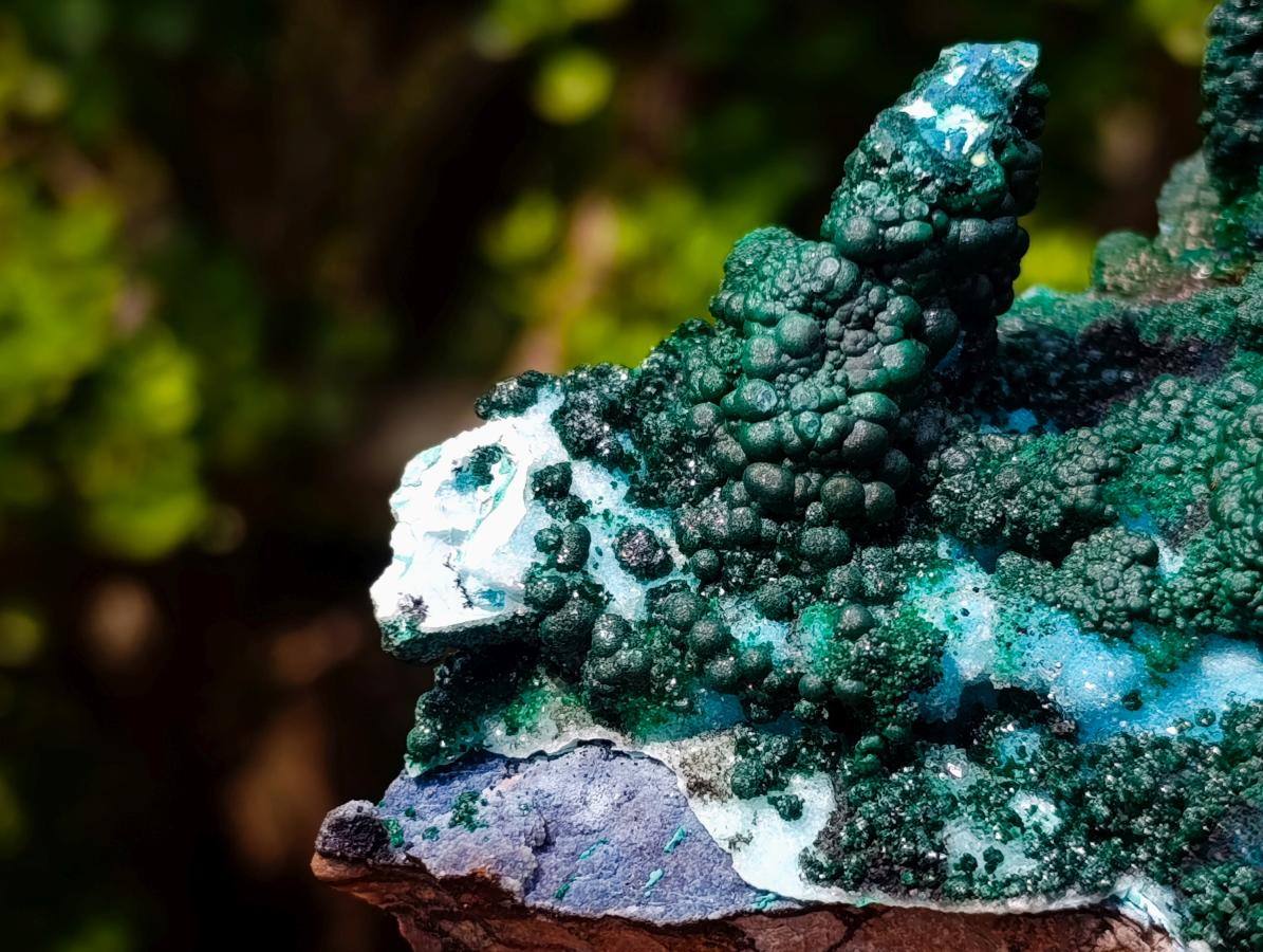 Natural Unique Drusy Coated Chrysocolla with Malachite Stalactites x 1 from  Lupoto Mine, Congo