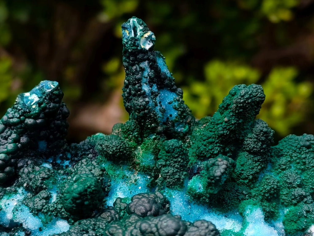 Natural Unique Drusy Coated Chrysocolla with Malachite Stalactites x 1 from  Lupoto Mine, Congo