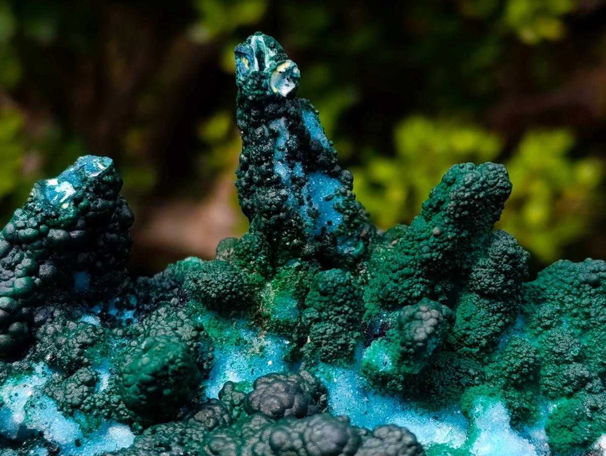 Natural Unique Drusy Coated Chrysocolla with Malachite Stalactites x 1 from  Lupoto Mine, Congo