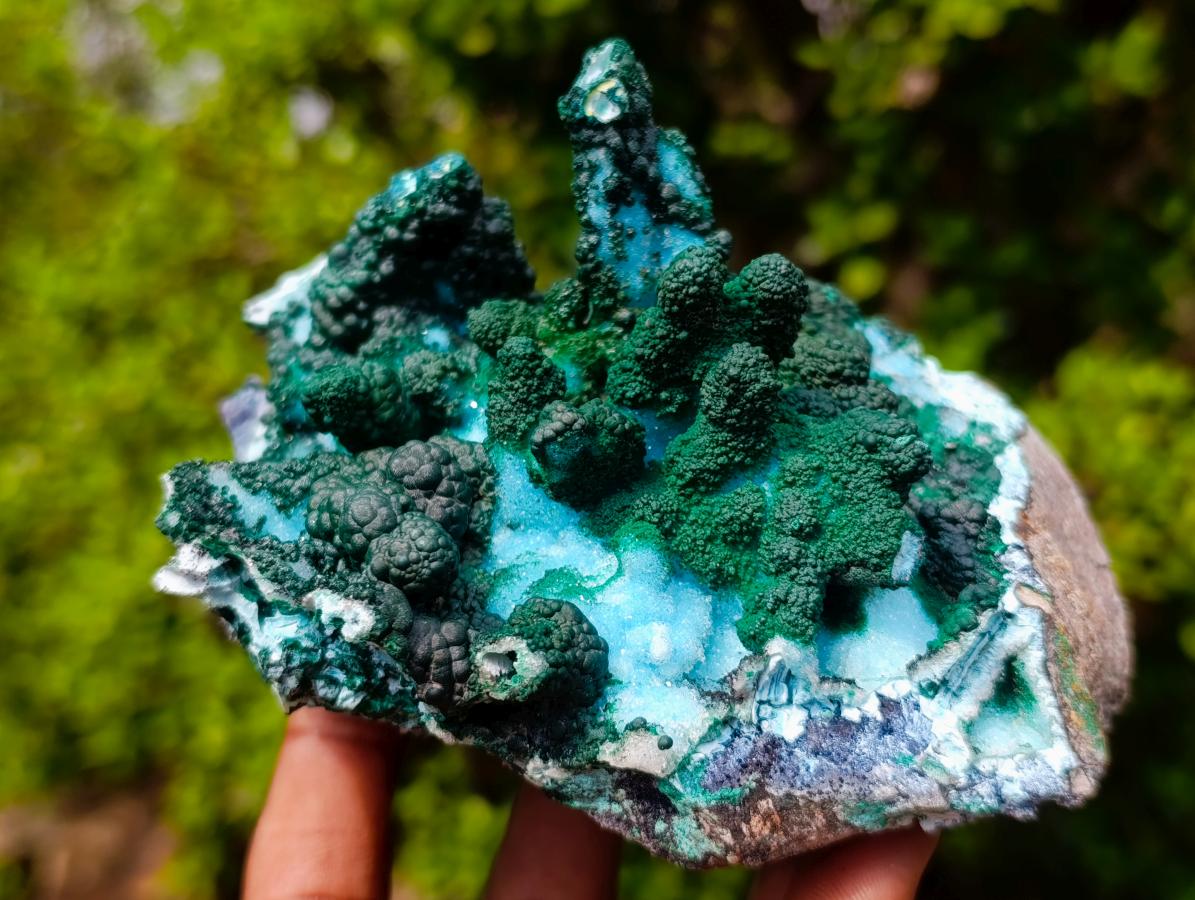 Natural Unique Drusy Coated Chrysocolla with Malachite Stalactites x 1 from  Lupoto Mine, Congo