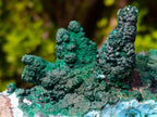 Natural Unique Drusy Coated Chrysocolla with Malachite Stalactites x 1 from  Lupoto Mine, Congo