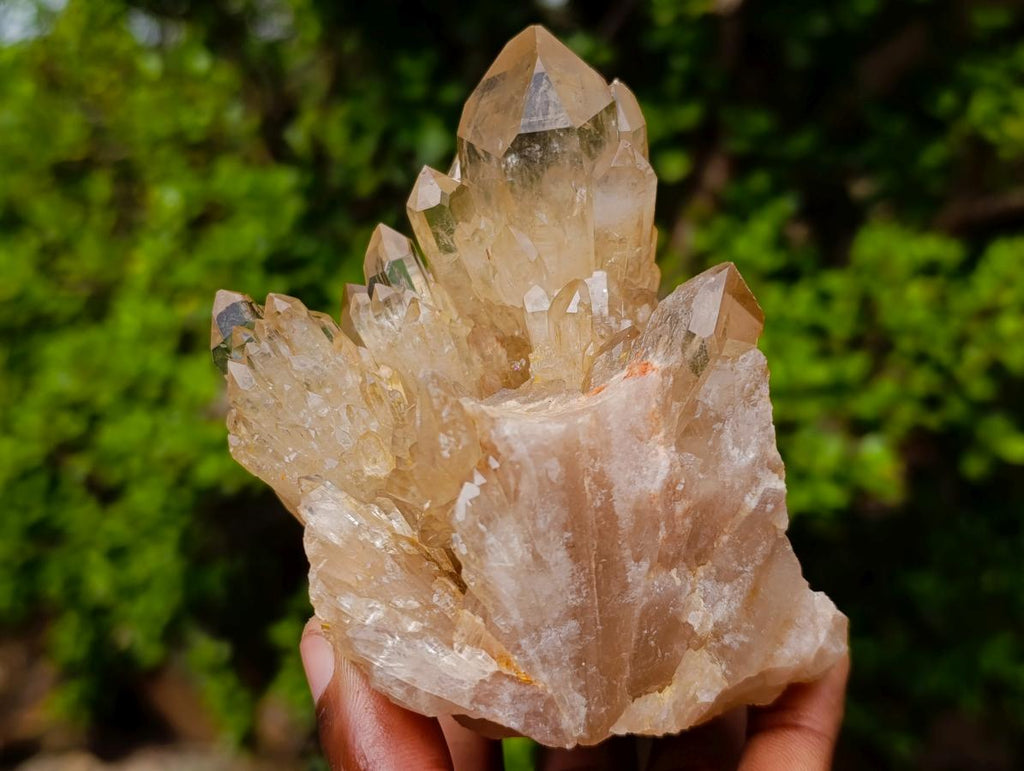 Natural Cascading Luena Citrine Crystal Cluster x 1 From Luena, Congo