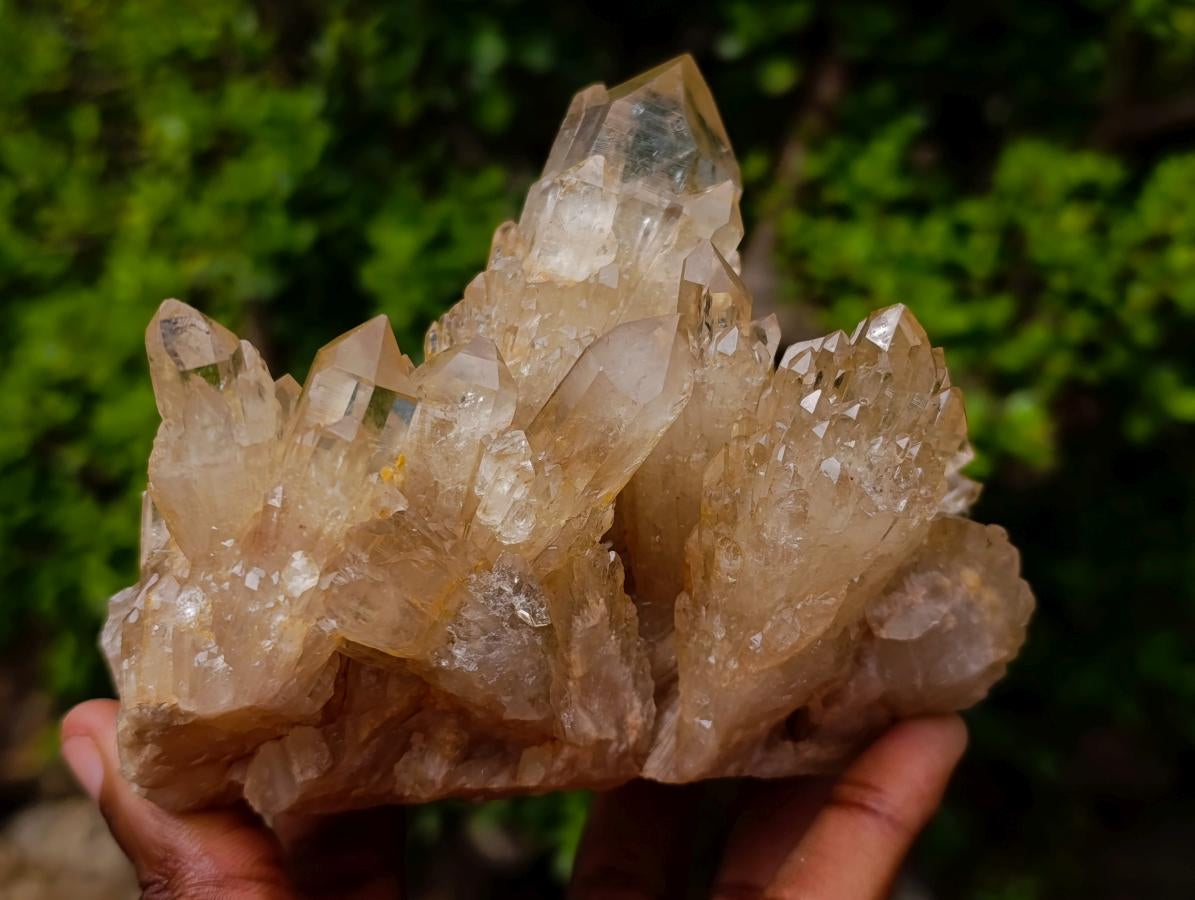 Natural Cascading Luena Citrine Crystal Cluster x 1 From Luena, Congo